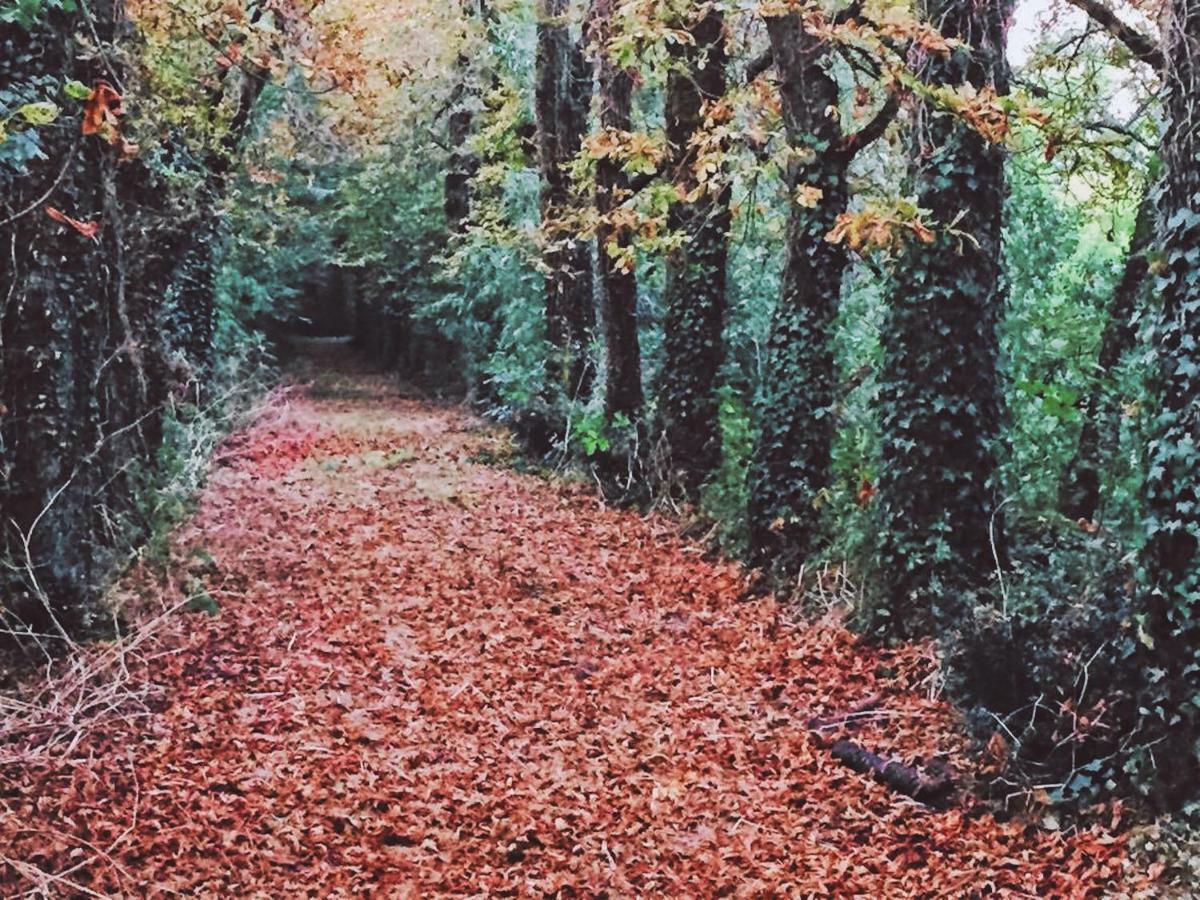 Gites Les Demeures De Valette Azay-le-Brule エクステリア 写真
