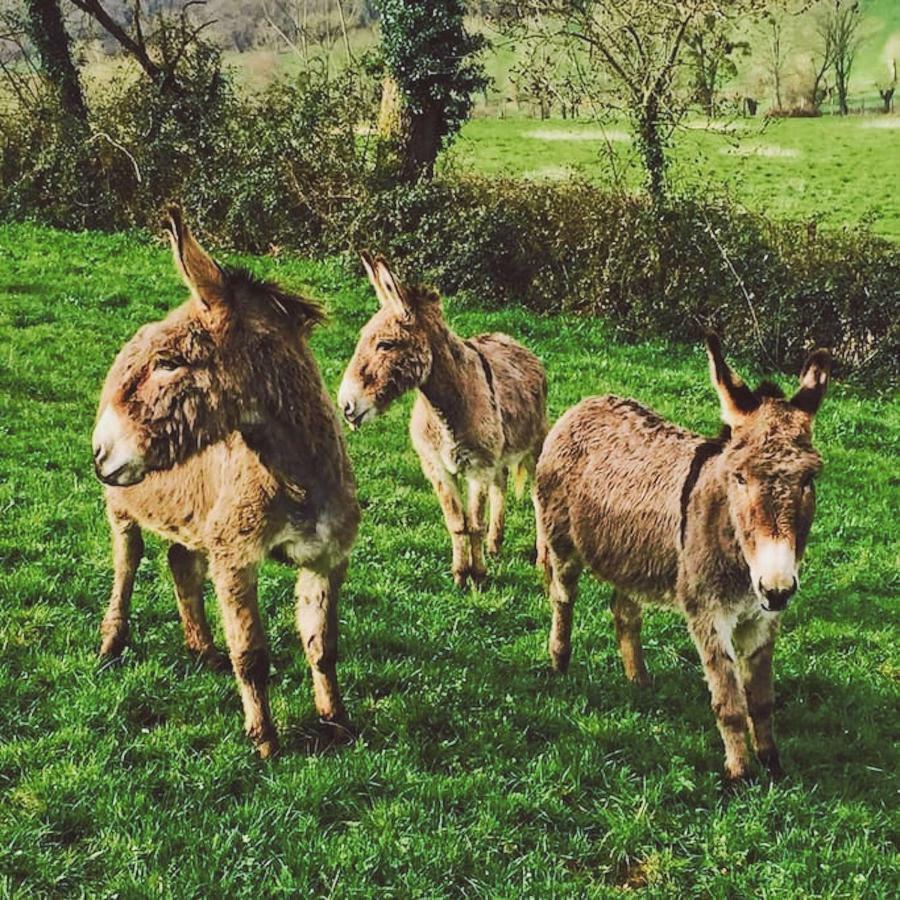 Gites Les Demeures De Valette Azay-le-Brule エクステリア 写真