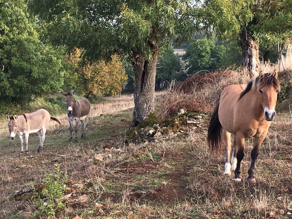 Gites Les Demeures De Valette Azay-le-Brule エクステリア 写真